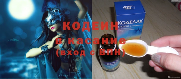 шишки Аркадак