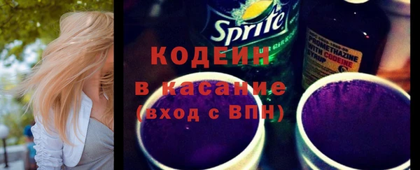 шишки Аркадак