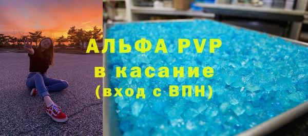 шишки Аркадак