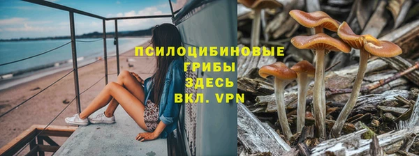 прущий лед Алексеевка