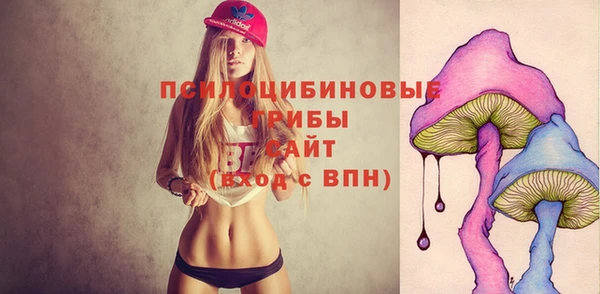 шишки Аркадак