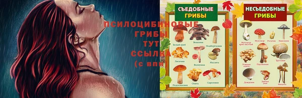 кокс Алзамай
