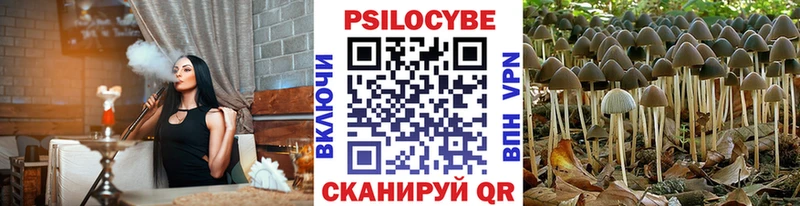 хочу   Артёмовский  МЕГА   Псилоцибиновые грибы MAGIC MUSHROOMS 